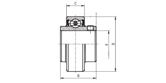 1117 .5/8  ( RB 202 10 ) - 'Premium' Bearing Insert with a .5/8 inch bore. Schematic