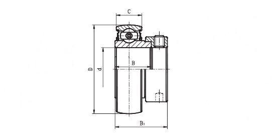 1217 17 EC  ( SA 203 ) - 'Premium' Bearing Insert with a 17mm bore. Schematic