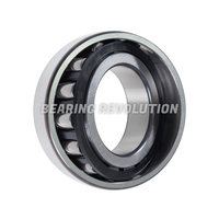 20210 C3, Barrel Roller Bearing  - Premium Range