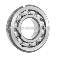 311 NR, Deep Groove Ball Bearing with a 55mm bore - Budget Range