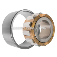 BU 5221 Z, Radial Roller Bearing - Premium Brand