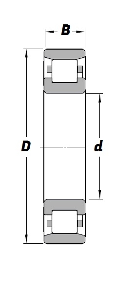 N 204, N-Series Cylindrical Roller Bearing with a 20mm bore - Steel Cage  - Premium Range Schematic