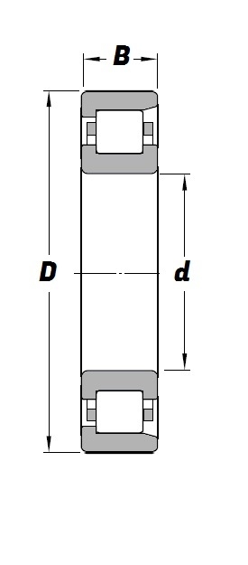 NF 204, NF-Series Cylindrical Roller Bearing with a 20mm bore - Steel Cage - Select Range Schematic