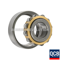 NF 206, NF-Series Cylindrical Roller Bearing with a 30mm bore - Brass Cage - Select Range