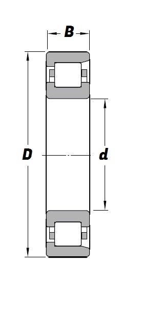 NF 306, NF-Series Cylindrical Roller Bearing with a 30mm bore - Brass Cage  - Premium Range Schematic