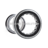 NJ 203 E, NJ-Series Cylindrical Roller Bearing with a 17mm bore - Plastic Cage  - Premium Range