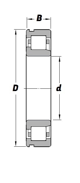 NJ 211 E N Schematic