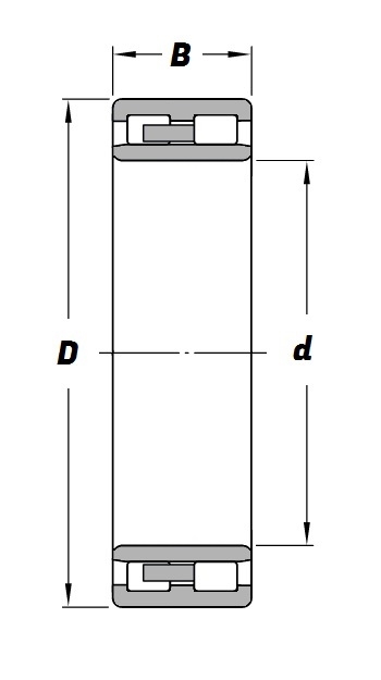 NNU 4920, NNU-Series Cylindrical Roller Bearing with a 100mm bore - Brass Cage - Premium Range Schematic