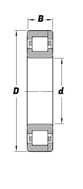 NP 302 Schematic