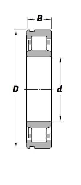NU 2324 EN C3 Schematic
