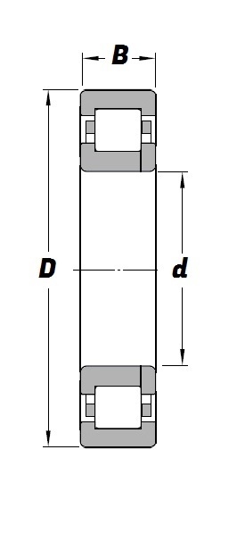 NUP 205 E, NUP-Series Cylindrical Roller Bearing with a 25mm bore - Plastic Cage - Budget Range Schematic