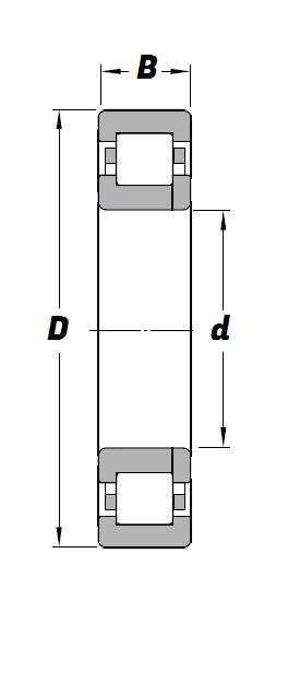 NUP 2304 E, NUP-Series Cylindrical Roller Bearing with a 20mm bore - Plastic Cage  - Premium Range Schematic