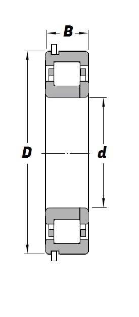 NUP 308 NR Schematic