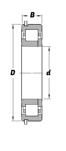 NUP 309 NR Schematic