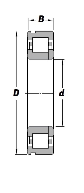 NUP 407 N Schematic