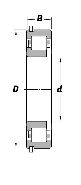 NUPJ 309 E NR Schematic