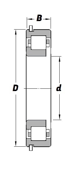 NUPJ 310 NR Schematic