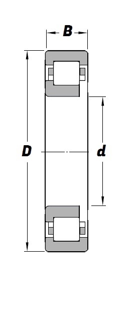 NUPJ 310 Schematic