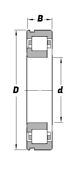 NUPJ 311 E N C3 Schematic