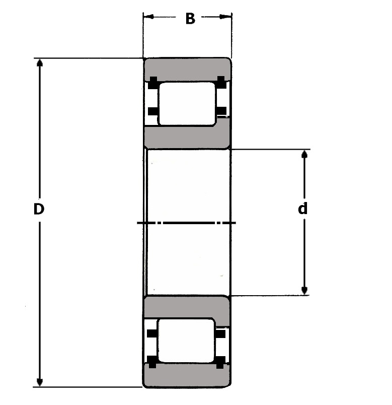 R 1219 TS, Radial Roller Bearing - Premium Brand Schematic