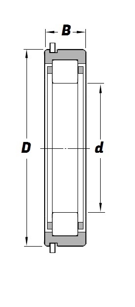 RNU 310 NR Schematic