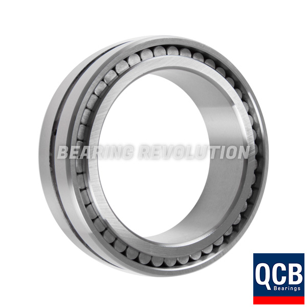 SL 02 4922, Full Complement Cylindrical Roller Bearing with a 110mm bore - Select Range