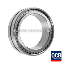 SL 02 4922, Full Complement Cylindrical Roller Bearing with a 110mm bore - Select Range