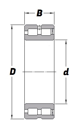 SL 18 5004, Full Complement Cylindrical Roller Bearing with a 20mm bore - Premium Range Schematic