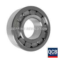 SL 19 2320 C3, Full Complement Cylindrical Roller Bearing with a 100mm bore - Select Range