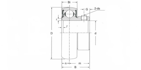 SSB 206, Stainless Steel Bearing Insert with a 30mm bore - Select Range Schematic