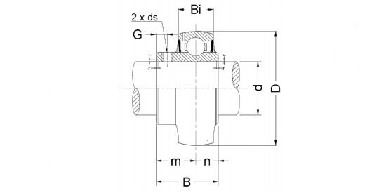 SUC 208, Stainless Steel Bearing Insert with a 40mm bore - Select Range Schematic